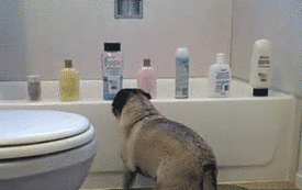 source: imgur.com abd-295