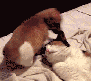 source: imgur.com abd-6-30-2014
