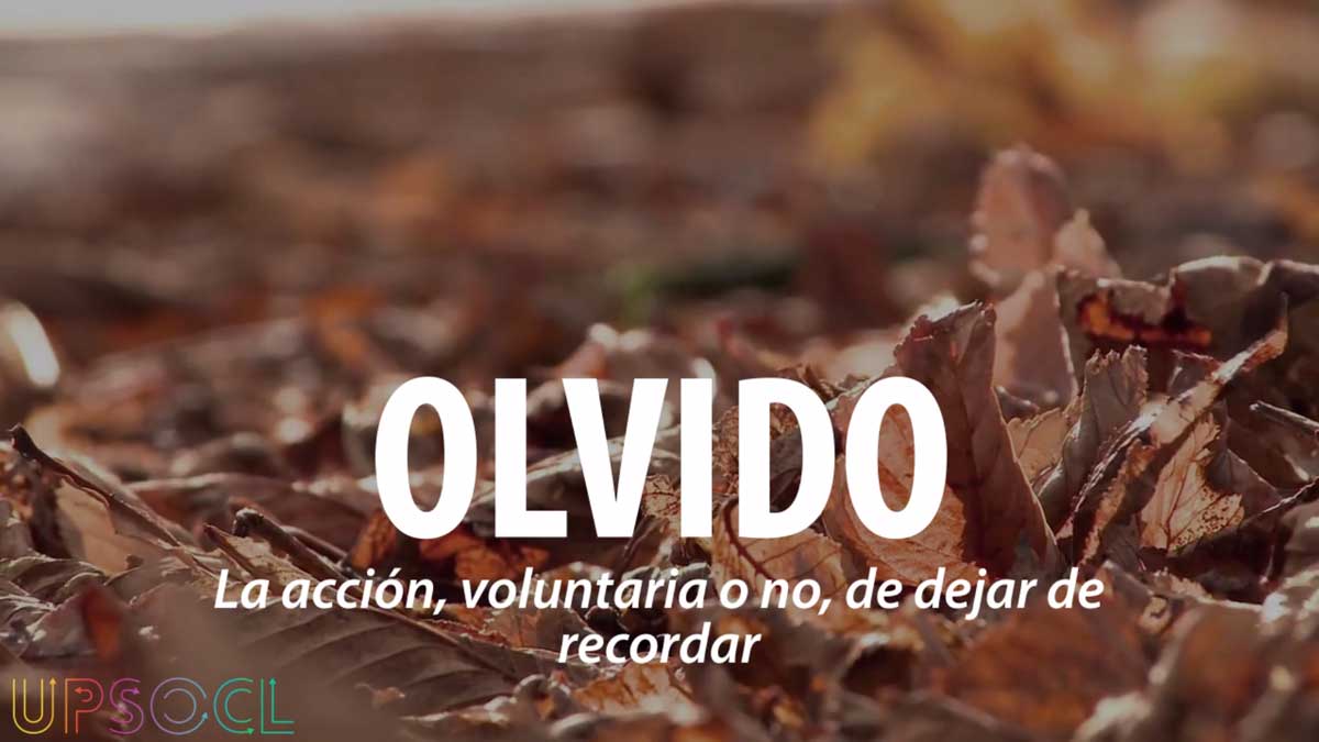 Estas Son Las 20 Palabras Mas Preciosas Del Idioma Espanol Upsocl