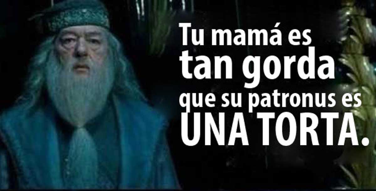 27 Cosas Ingeniosas Y Divertidas Sobre Harry Potter Que Garantizan Hacerte Reír Upsocl