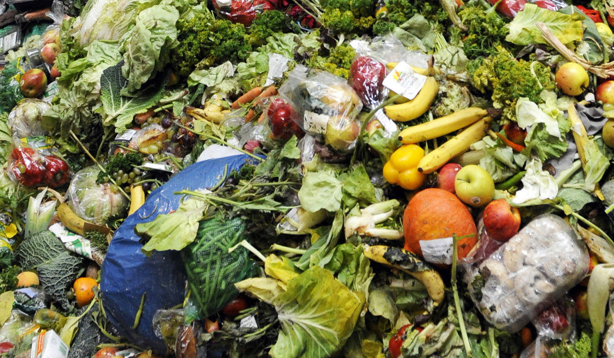 Una ley en Italia obliga a donar la comida que no se venda en los supermercados Resultado de imagen para ley italia comida supermercado