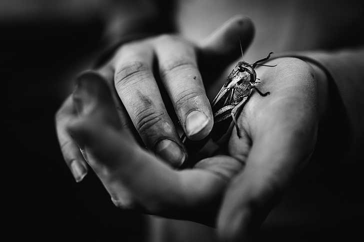 untitled-11832-3