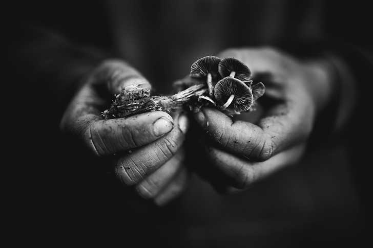 untitled-145995-2