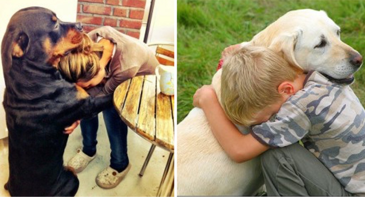 10 problemas de salud mental donde un perro puede ayudar a que te sientas mejor. ¡Son puro amor! | Upsocl