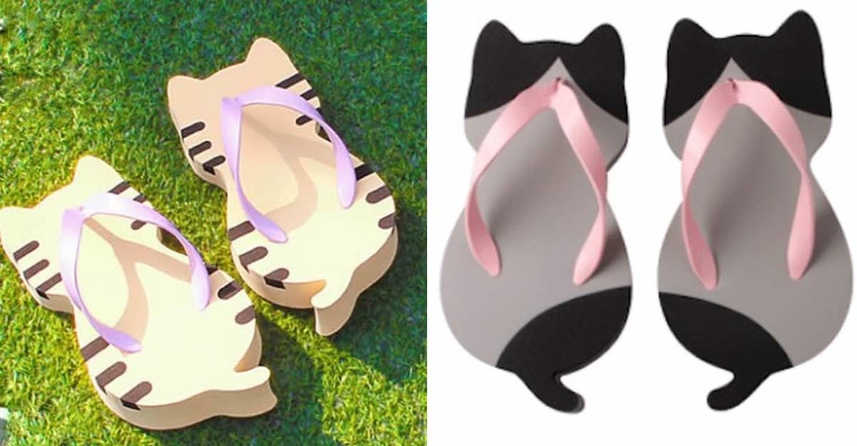 Llegaron las sandalias en forma de gatito. Para que muestres ese instinto  felino que llevas dentro | Upsocl