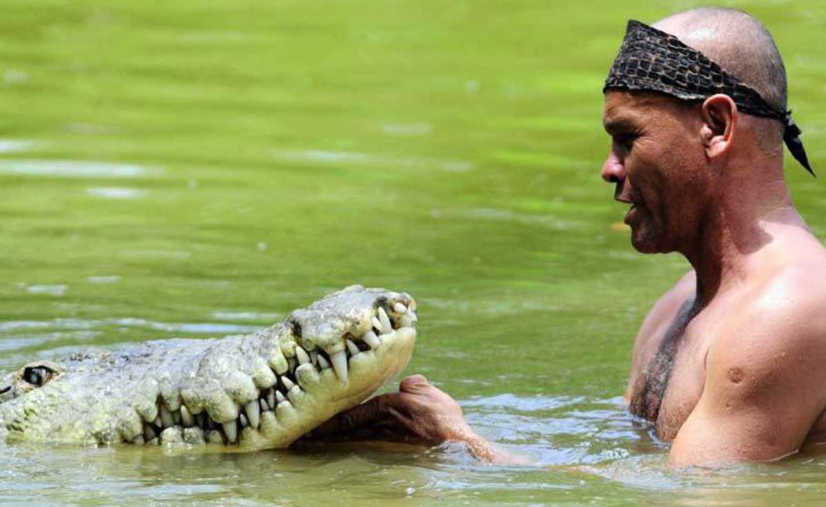Resultado de imagen para hombre se encuentra con cocodrilo