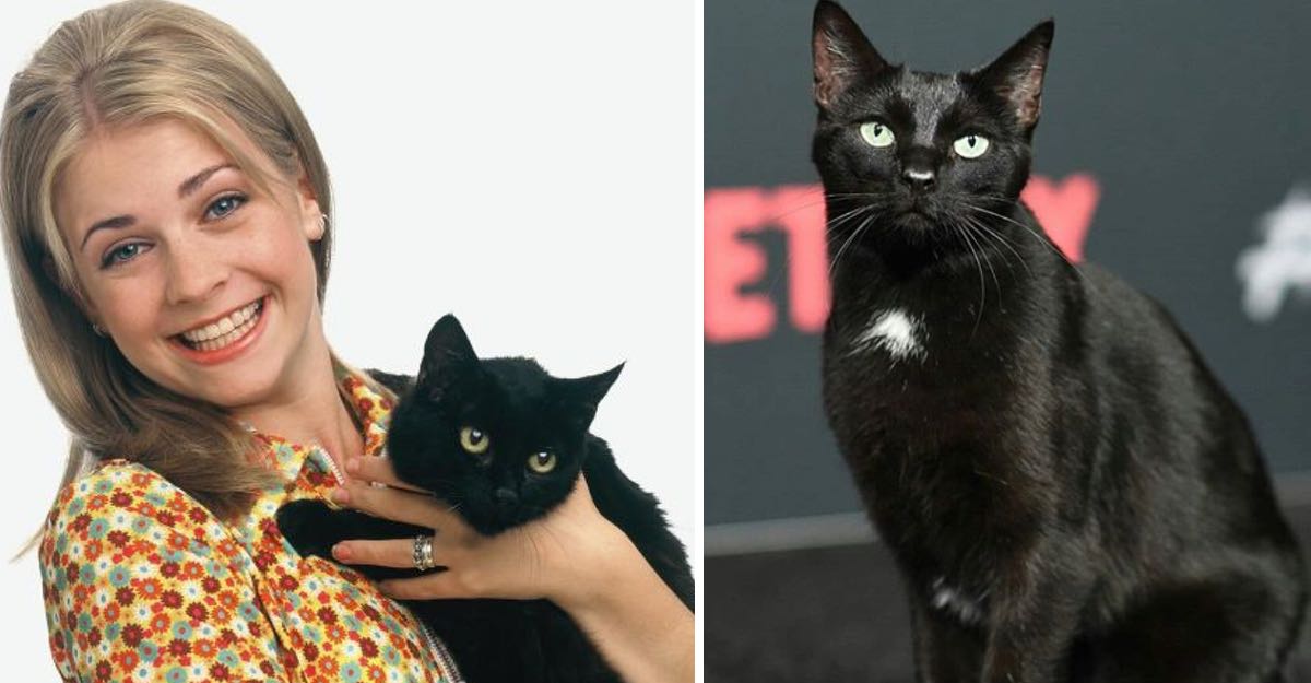 Advertencia Salem No Habla En La Nueva Sabrina De Netflix Perdimos 
