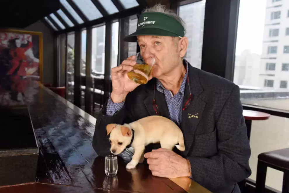 Bill Murray has a curious way of knowing whether he can trust someone: he always listens to dogs' opinions